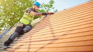 Best Asphalt Shingles Roofing  in Edgar, WI