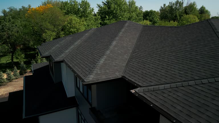Best Roof Moss and Algae Removal  in Edgar, WI