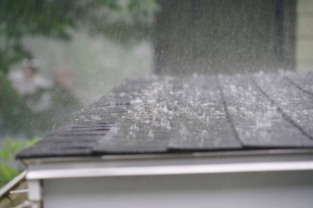 Best Rubber Roofing (EPDM, TPO)  in Edgar, WI