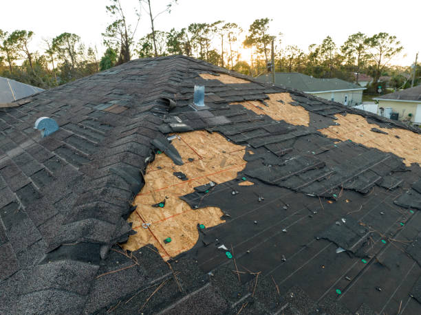Emergency Roof Repair in Edgar, WI
