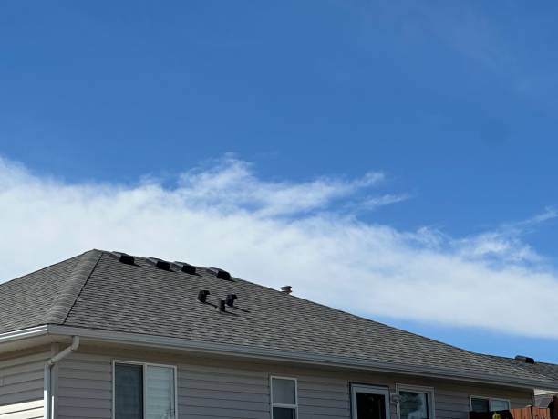 Best Green or Eco-Friendly Roofing Solutions  in Edgar, WI